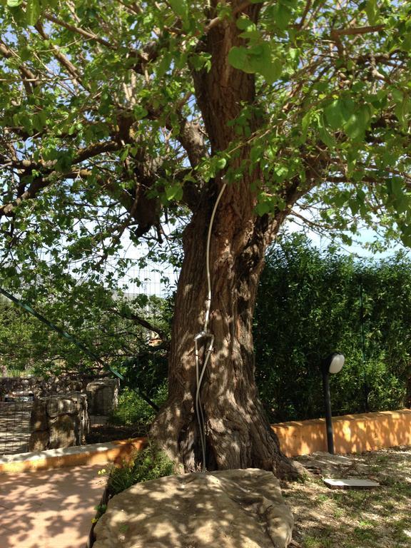 Lovely Cottage Castellammare del Golfo Ngoại thất bức ảnh